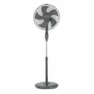 Kenwood 16-Inch 55W 5-Blade Oscillating Pedestal Stand Fan (Model: IFP55.A0SI)