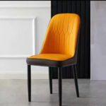 Modern Dinning Chair with Fancy Leather Metal Leg
