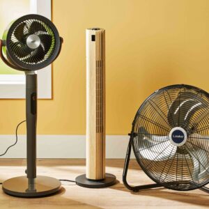 Fans